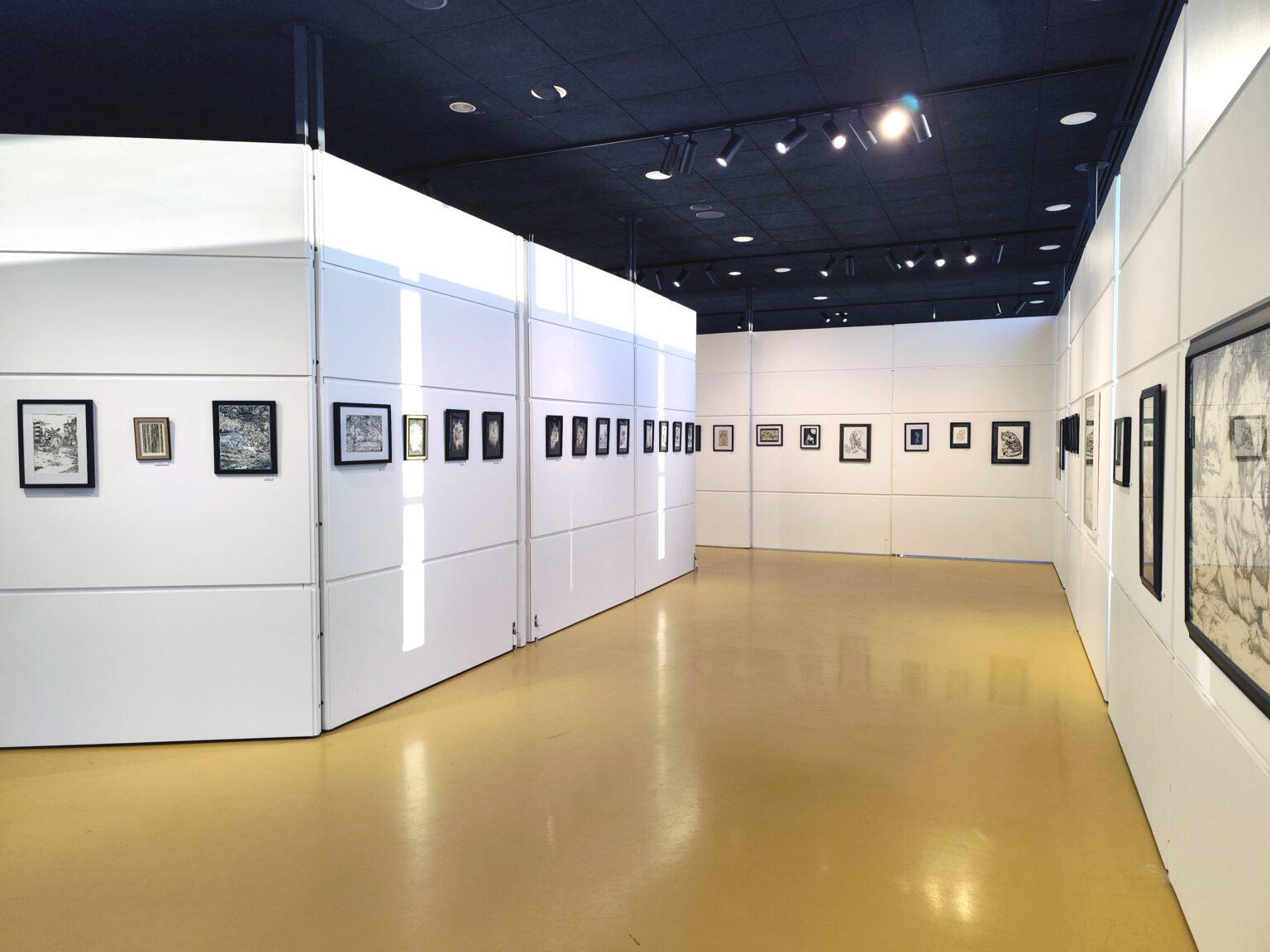 EXPOSITION LE TRAIT D'UNION